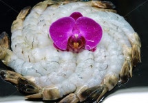 새우, 생새우, 대하, 해산물, 해물 사진, 이미지 - 프리이미지작가 가장 한국적인 스톡 사진 - 크라우드픽