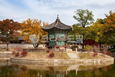경복궁, 향원정, 궁궐, 한국궁궐, 전통궁궐, 사진,이미지,일러스트,캘리그라피 - 골드키위작가 크라우드픽 - 저작권 걱정 없는 상업용 이미지