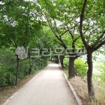 공원, 녹음, 녹지, 수풀, 숲, 사진,이미지,일러스트,캘리그라피 - 오오라작가 크라우드픽 - 저작권 걱정 없는 상업용 이미지