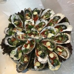 굴, 석화, 하프셀, oyster, 초장, 사진,이미지,일러스트,캘리그라피 - Nsllah32작가 크라우드픽 - 저작권 걱정 없는 상업용 이미지
