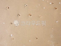 바다, 바닷가, 모래, 조개, 자연, 사진,이미지,일러스트,캘리그라피 - mirupick작가 크라우드픽 - 저작권 걱정 없는 상업용 이미지