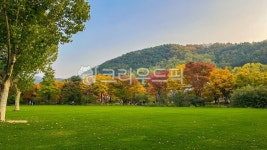 park, 공원, outdoors, 옥외, nature, 사진,이미지,일러스트,캘리그라피 - 이몰리작가 크라우드픽 - 저작권 걱정 없는 상업용 이미지