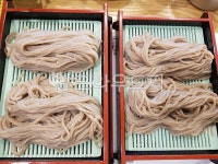메밀국수, 모밀국수, 국수, 파스타, noodle, 사진,이미지,일러스트,캘리그라피 - 제제3515작가 크라우드픽 - 저작권 걱정 없는 상업용 이미지