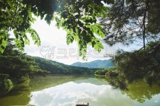 호수, 자연, 연못, 여름, 빛, 사진,이미지,일러스트,캘리그라피 - sinikimm작가 크라우드픽 - 저작권 걱정 없는 상업용 이미지