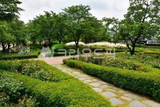 park, 공원, outdoors, 옥외, nature, 사진,이미지,일러스트,캘리그라피 - 영산공작가 크라우드픽 - 저작권 걱정 없는 상업용 이미지