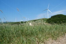 들풀, 풍력발전기, windgenerator, motor, 풍력터빈, 사진,이미지,일러스트,캘리그라피 - Nacloyd작가 크라우드픽 - 저작권 걱정 없는... 
