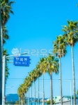 서귀포, 제주도, 보목, 풍경, 야자수, 사진,이미지,일러스트,캘리그라피 - 중문학전공작가 크라우드픽 - 저작권 걱정 없는 상업용 이미지