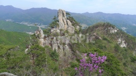 운악산진달래, 미륵바위, 운악산, 운악산봄, 운악산의봄, 사진,이미지,일러스트,캘리그라피 - 가평뉴스방송작가 크라우드픽 - 저작권 걱정 없는... 