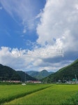 자연, 밭, 농장, 필드, 구름, 사진,이미지,일러스트,캘리그라피 - gorani88작가 크라우드픽 - 저작권 걱정 없는 상업용 이미지