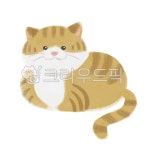 고양이, 치즈냥, 갈생고양이, 고양이일러스트, 치즈냥일러스트, 사진,이미지,일러스트,캘리그라피 - 선물주는햄스터작가 크라우드픽 - 저작권 걱정... 