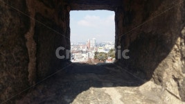 수원화성, 아파트, 나무, 성곽, 도시, 사진,이미지,일러스트,캘리그라피 - Nrabblt0701작가 크라우드픽 - 저작권 걱정 없는 상업용 이미지