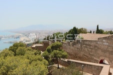 도시, 풍경, 전경, city, view, 사진,이미지,일러스트,캘리그라피 - aliciajyc작가 크라우드픽 - 저작권 걱정 없는 상업용 이미지