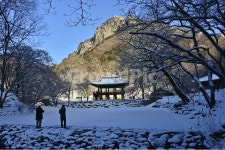 nature, outdoors, 옥외, 자연, 장성, 사진,이미지,일러스트,캘리그라피 - 영산공작가 크라우드픽 - 저작권 걱정 없는 상업용 이미지