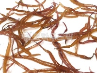 seaweed, food, 해초, 음식, 가시리, 사진,이미지,일러스트,캘리그라피 - 양파스토리작가 크라우드픽 - 저작권 걱정 없는 상업용 이미지