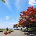 자연, 정원, 공원, 식물원, 원예, 사진,이미지,일러스트,캘리그라피 - 소중한 인연작가 크라우드픽 - 저작권 걱정 없는 상업용 이미지