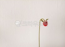 꽃, 방울, 붉은, 레드, red, 사진,이미지,일러스트,캘리그라피 - Njigun123작가 크라우드픽 - 저작권 걱정 없는 상업용 이미지