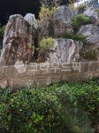 바위, rock, 나무, 자연, 돌, 사진,이미지,일러스트,캘리그라피 - 아크론작가 크라우드픽 - 저작권 걱정 없는 상업용 이미지