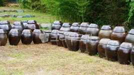 장독, 장독대, 옹기, 간장독, 된장독, 사진,이미지,일러스트,캘리그라피 - BUSAN OPPA작가 크라우드픽 - 저작권 걱정 없는 상업용 이미지