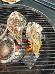 음식, food, 해산물, seafood, 조개구이, 사진,이미지,일러스트,캘리그라피 - ok쁘니작가 크라우드픽 - 저작권 걱정 없는 상업용 이미지