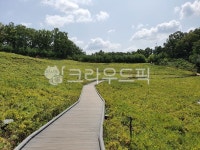 boardwalk, 산책로, bridge, 다리, 둘레길, 사진,이미지,일러스트,캘리그라피 - 양파스토리작가 크라우드픽 - 저작권 걱정 없는 상업용 이미지