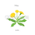 꽃일러스트, 꽃, 꽃그림, 색연필일러스트, 꽃png, 사진,이미지,일러스트,캘리그라피 - funnyflog00작가 크라우드픽 - 저작권 걱정 없는... 