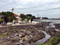 망장포구, 바다, 올레5코스, 올레길, 제주, 사진,이미지,일러스트,캘리그라피 - Deep bLUE작가 크라우드픽 - 저작권 걱정 없는 상업용 이미지