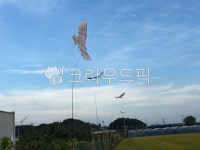 bird, 새, 허수아비, 논밭, 하늘, 사진,이미지,일러스트,캘리그라피 - 프리스틴작가 크라우드픽 - 저작권 걱정 없는 상업용 이미지