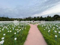 공원, 옥외, nature, 자연, park, 사진,이미지,일러스트,캘리그라피 - 궁디작가 크라우드픽 - 저작권 걱정 없는 상업용 이미지