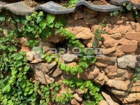 담, 흙담, 돌담, 한옥담, 덩쿨, 사진,이미지,일러스트,캘리그라피 - Smile art작가 크라우드픽 - 저작권 걱정 없는 상업용 이미지