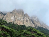 설악산, 울산바위, 자연, 산, 숲, 사진,이미지,일러스트,캘리그라피 - leeplan22작가 크라우드픽 - 저작권 걱정 없는 상업용 이미지