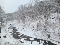 nature, outdoors, 옥외, 눈, 빙, 사진,이미지,일러스트,캘리그라피 - wookella작가 크라우드픽 - 저작권 걱정 없는 상업용 이미지