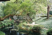 nature, 자연, 공원, 정원, 물, 사진,이미지,일러스트,캘리그라피 - OOHoliday작가 크라우드픽 - 저작권 걱정 없는 상업용 이미지