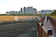 소래습지생태공원, 생태공원, 인천시, 소래포구, 갯골, 사진,이미지,일러스트,캘리그라피 - Deep bLUE작가 크라우드픽 - 저작권 걱정 없는... 