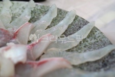회, 광어회, 우럭회, 광어, 우럭, 사진,이미지,일러스트,캘리그라피 - 횽횽작가 크라우드픽 - 저작권 걱정 없는 상업용 이미지