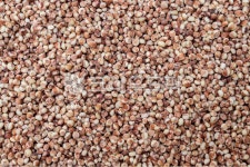 수수쌀, 찰수수쌀, 수수, 찰수수, 잡곡, 사진,이미지,일러스트,캘리그라피 - 재로미작가 크라우드픽 - 저작권 걱정 없는 상업용 이미지