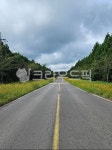 꽃길, 직선도로, 막힘없는, 가운데길, 꽃, 사진,이미지,일러스트,캘리그라피 - 조파이작가 크라우드픽 - 저작권 걱정 없는 상업용 이미지