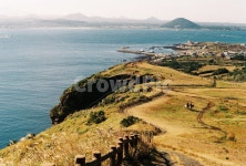 자연, 제주, 우도, 초원, 필름사진, 사진,이미지,일러스트,캘리그라피 - 지윤아빠작가 크라우드픽 - 저작권 걱정 없는 상업용 이미지