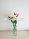 꽃, 꽃다발, 꽃꽂이, 꽃병, 카네이션, 사진,이미지,일러스트,캘리그라피 - 테레사작가 크라우드픽 - 저작권 걱정 없는 상업용 이미지