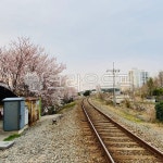 railway, 철도, traintrack, 기찻길, rail, 사진,이미지,일러스트,캘리그라피 - 하나나작가 크라우드픽 - 저작권 걱정 없는 상업용 이미지