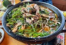 영양탕, 염소고기, 염소, 보양식, 탕, 사진,이미지,일러스트,캘리그라피 - 메워니작가 크라우드픽 - 저작권 걱정 없는 상업용 이미지