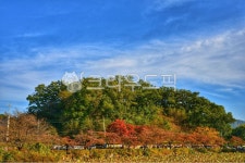 김천, 연화지, nature, 자연, outdoors, 사진,이미지,일러스트,캘리그라피 - 하지하지작가 크라우드픽 - 저작권 걱정 없는 상업용 이미지