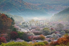 비밀정원, 시크릿가든, 인제비밀정원, 인제시크릿가든, 인제명소, 사진,이미지,일러스트,캘리그라피 - 일출작가 크라우드픽 - 저작권 걱정 없는... 