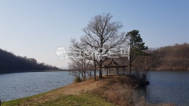 서산, 용비지, 용현저수지, 목장, 농장, 사진,이미지,일러스트,캘리그라피 - cem309작가 크라우드픽 - 저작권 걱정 없는 상업용 이미지