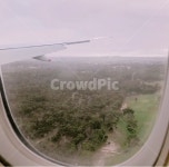 비행기, 나무, 숲, 자연, 바깥, 사진,이미지,일러스트,캘리그라피 - 매영작가 크라우드픽 - 저작권 걱정 없는 상업용 이미지