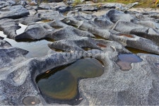 stream, 흐름, nature, 자연, water, 사진,이미지,일러스트,캘리그라피 - 영산공작가 크라우드픽 - 저작권 걱정 없는 상업용 이미지