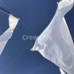 천, 흰천, 하늘, 파랑, 흰, 사진,이미지,일러스트,캘리그라피 - Nriya0304작가 크라우드픽 - 저작권 걱정 없는 상업용 이미지