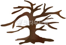 뽕나무, 떨기나무, tree, 나무, oak, 사진,이미지,일러스트,캘리그라피 - sahana작가 크라우드픽 - 저작권 걱정 없는 상업용 이미지