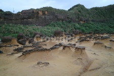 자연, 흙, 바위, 산, 식물, 사진,이미지,일러스트,캘리그라피 - Nykj78작가 크라우드픽 - 저작권 걱정 없는 상업용 이미지