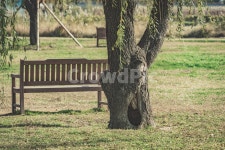 부산, 화명생태공원, 공원, 휴식, 의자, 사진,이미지,일러스트,캘리그라피 - plumt작가 크라우드픽 - 저작권 걱정 없는 상업용 이미지