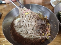 메밀국수, 메밀물막국수, 물막국수, 메밀싹, 음식, 사진,이미지,일러스트,캘리그라피 - skks작가 크라우드픽 - 저작권 걱정 없는 상업용 이미지